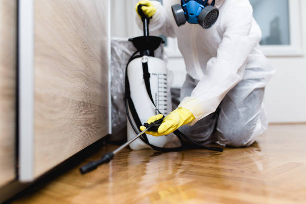 Best Pest Removal Services  in Kootenai, ID