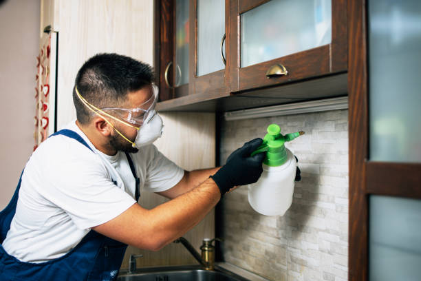 Trusted Kootenai, ID Pest Control Experts