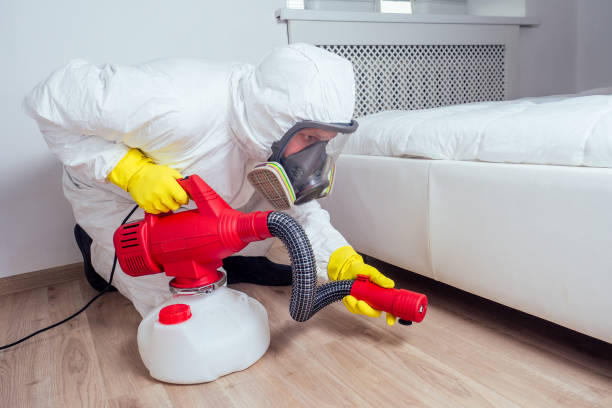 Best Pest Inspection Near Me  in Kootenai, ID