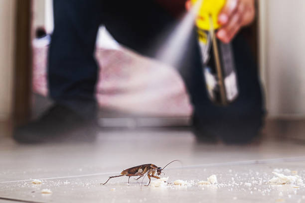 Best Termite Control Services  in Kootenai, ID