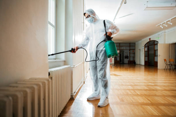 Best Affordable Pest Control Services  in Kootenai, ID