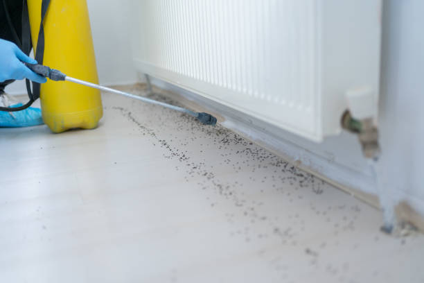 Best Pest Removal Services  in Kootenai, ID